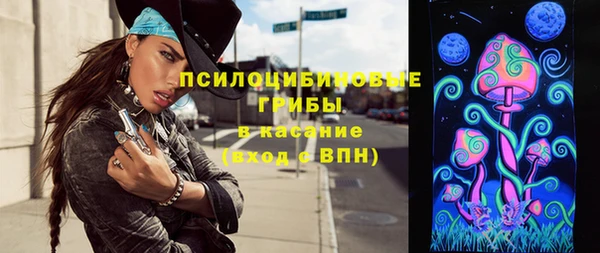 эйфоретик Баксан