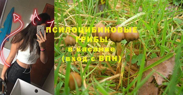 героин Белокуриха