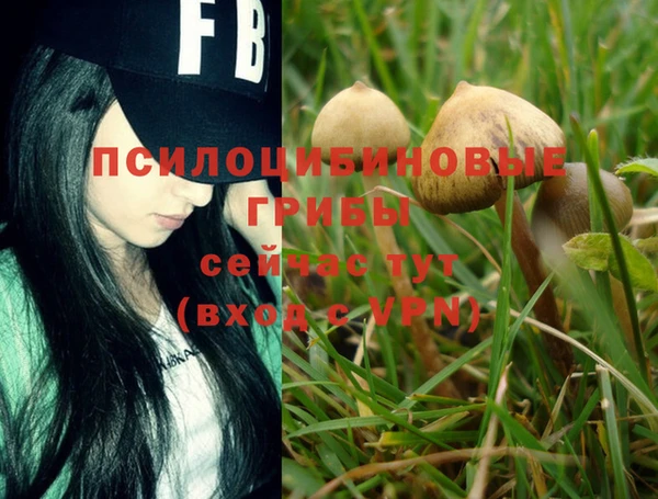 PSILOCYBIN Белоозёрский