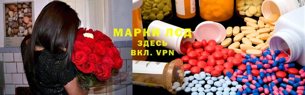 эйфоретик Баксан