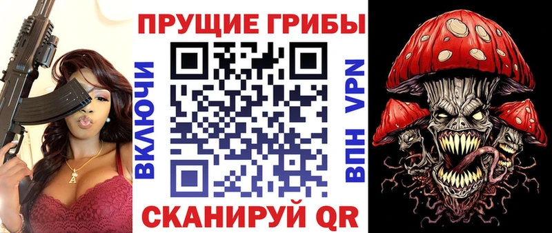 что такое   Нефтегорск  Галлюциногенные грибы Psilocybe 